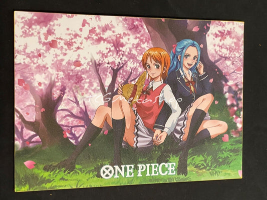 🔥 Nami and Vivi One Piece Goddess Story Anime Waifu A4 Card SSR 34 🔥